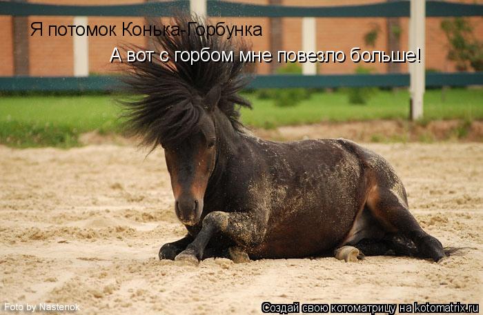 Я потомок Конька-Горбунка А вот с горбом мне повезло больше!... Котоматрица: Я потомок Конька-Горбунка А вот с горбом мне повезло больше!