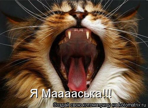 Я Мааааська!!!... Котоматрица: Я Мааааська!!!
