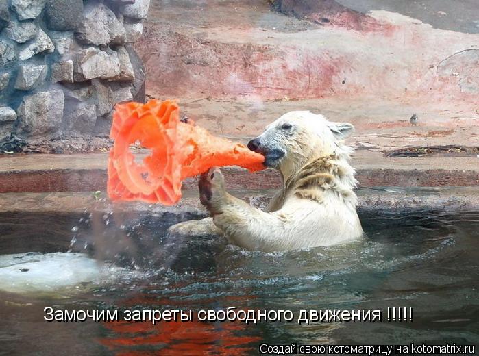 Котоматрица: Замочим запреты свободного движения !!!!!