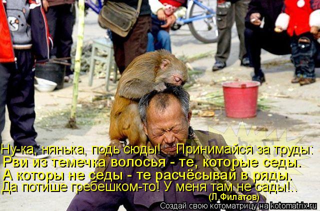 Ну-ка, нянька, подь сюды! Принимайся за труды: Рви из темечка волосья - те, которые седы. А которы... Котоматрица: Ну-ка, нянька, подь сюды! Принимайся за труды: Рви из темечка волосья - те, которые седы. А которы не седы - те расчёсывай в ряды. Да потише гре