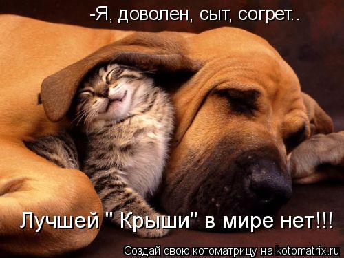 -Я, доволен, сыт, согрет.. Лучшей " Крыши" в мире нет!!!... Котоматрица: -Я, доволен, сыт, согрет.. Лучшей " Крыши" в мире нет!!!