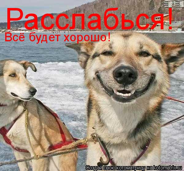 Расслабься! Всё будет хорошо!... Котоматрица: Расслабься! Всё будет хорошо!