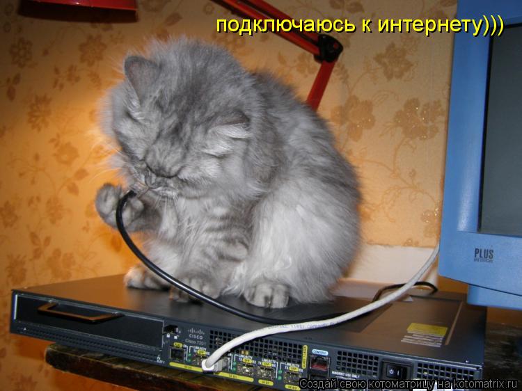 подключаюсь к интернету)))... Котоматрица: подключаюсь к интернету)))