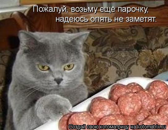 Пожалуй, возьму ещё парочку, надеюсь опять не заметят.... Котоматрица: Пожалуй, возьму ещё парочку, надеюсь опять не заметят.