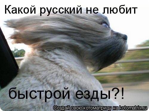 Какой русский не любит быстрой езды?!... Котоматрица: Какой русский не любит быстрой езды?!