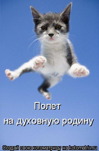 Полет на духовную родину... Котоматрица: Полет на духовную родину