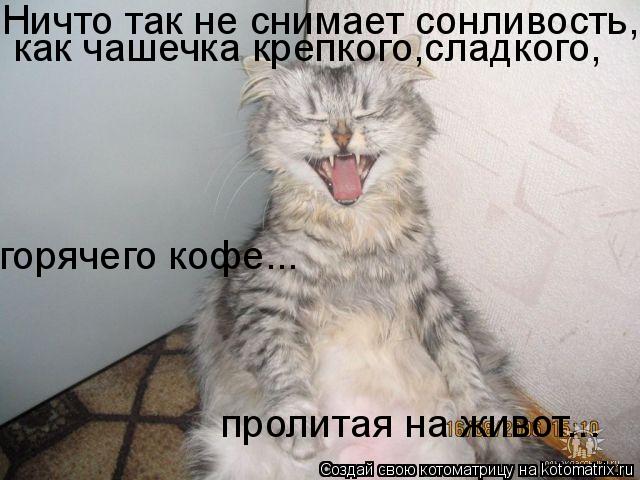 Ничто так не снимает сонливость, как чашечка крепкого,сладкого, горячего кофе... пролитая на живот...... Котоматрица: Ничто так не снимает сонливость, как чашечка крепкого,сладкого, горячего кофе... пролитая на живот...
