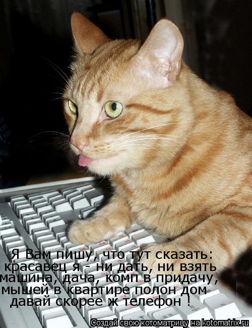 Я Вам пишу, что тут сказать: красавец я - ни дать, ни взять машина, дача, комп в придачу, мышей в ква... Котоматрица: Я Вам пишу, что тут сказать: красавец я - ни дать, ни взять машина, дача, комп в придачу, мышей в квартире полон дом давай скорее ж телефон !