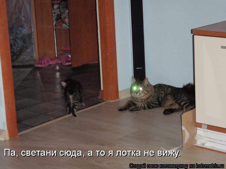 Па, светани сюда, а то я лотка не вижу.... Котоматрица: Па, светани сюда, а то я лотка не вижу.