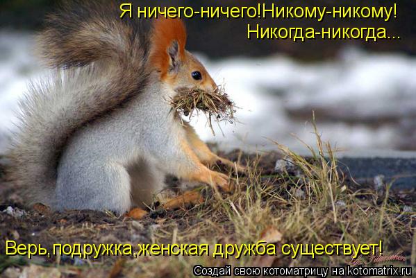 Верь,подружка,женская дружба существует! Я ничего-ничего!Никому-никому! Никогда-никогда...... Котоматрица: Верь,подружка,женская дружба существует! Я ничего-ничего!Никому-никому! Никогда-никогда...