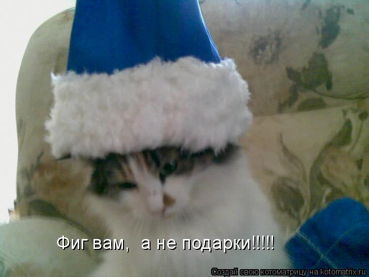 Фиг вам, а не подарки!!!!!... Котоматрица: Фиг вам, а не подарки!!!!!