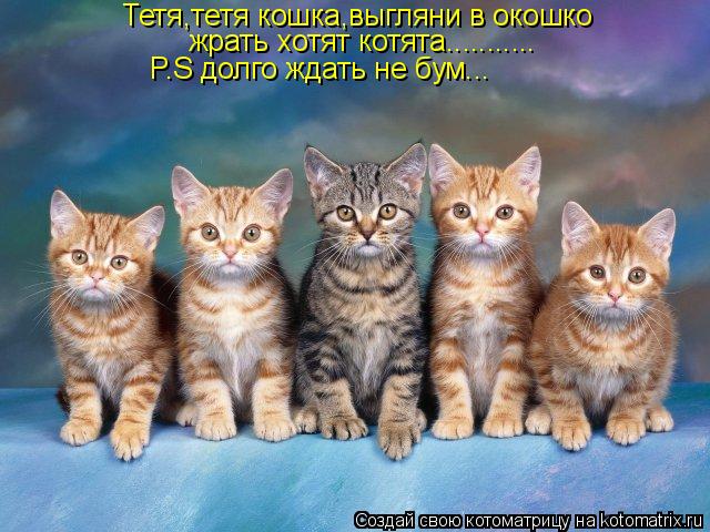 Тетя,тетя кошка,выгляни в окошко жрать хотят котята........... P.S долго ждать не бум...... Котоматрица: Тетя,тетя кошка,выгляни в окошко жрать хотят котята........... P.S долго ждать не бум...