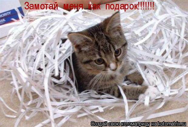 Замотай меня как подарок!!!!!!!... Котоматрица: Замотай меня как подарок!!!!!!!