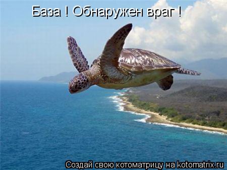 База ! Обнаружен враг !... Котоматрица: База ! Обнаружен враг !