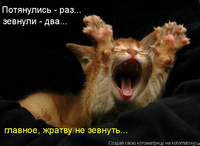 Потянулись - раз... зевнули - два... главное, жратву не зевнуть...... Котоматрица: Потянулись - раз... зевнули - два... главное, жратву не зевнуть...