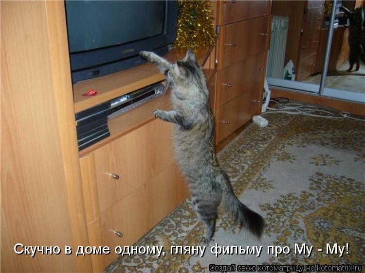 Скучно в доме одному, гляну фильму про Му - Му!... Котоматрица: Скучно в доме одному, гляну фильму про Му - Му!