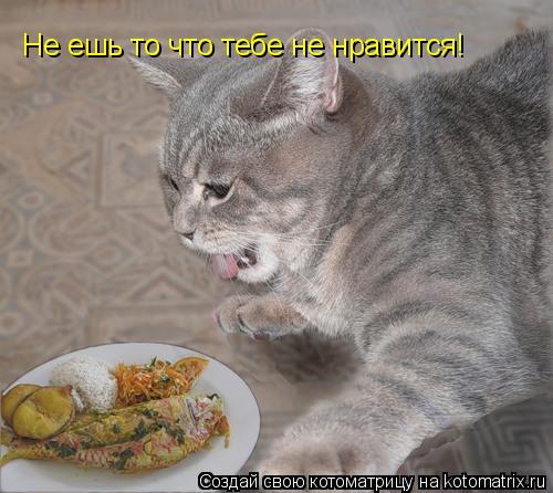 Не ешь то что тебе не нравится!... Котоматрица: Не ешь то что тебе не нравится!