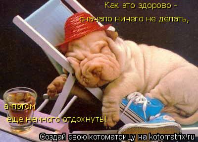 еще немного отдохнуть! Как это здорово - сначало ничего не делать, а потом... Котоматрица: еще немного отдохнуть! Как это здорово - сначало ничего не делать, а потом
