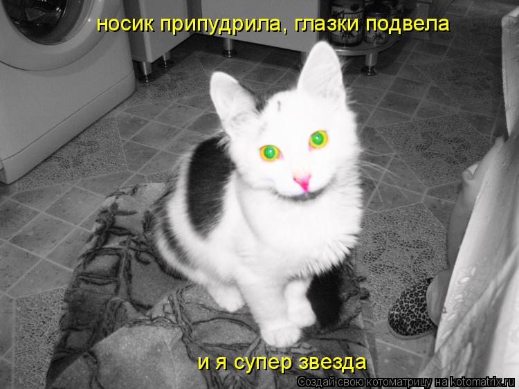 носик припудрила, глазки подвела и я супер звезда... Котоматрица: носик припудрила, глазки подвела и я супер звезда