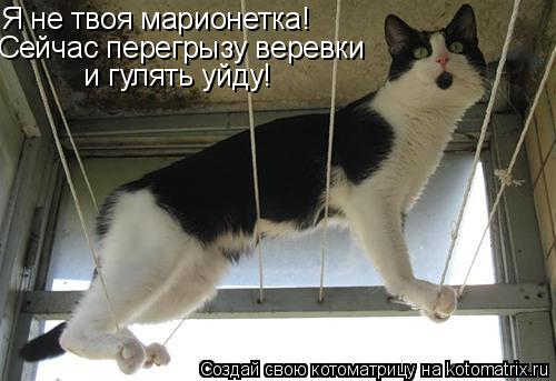 Я не твоя марионетка! Сейчас перегрызу веревки и гулять уйду!... Котоматрица: Я не твоя марионетка! Сейчас перегрызу веревки и гулять уйду!