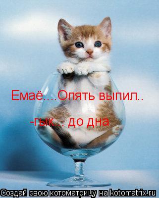 Емаё....Опять выпил.. -гык... до дна... Котоматрица: Емаё....Опять выпил.. -гык... до дна