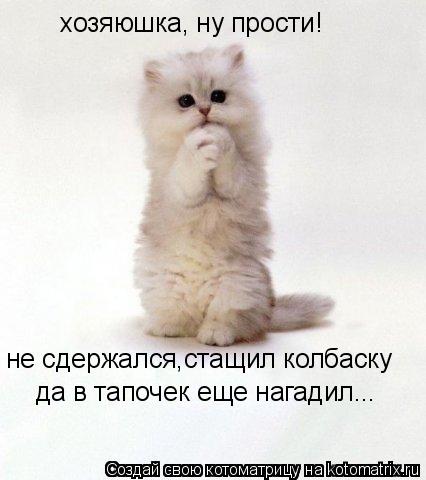 хозяюшка, ну прости! не сдержался,стащил колбаску да в тапочек еще нагадил...... Котоматрица: хозяюшка, ну прости! не сдержался,стащил колбаску да в тапочек еще нагадил...
