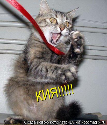 КИЯ!!!!!... Котоматрица: КИЯ!!!!!