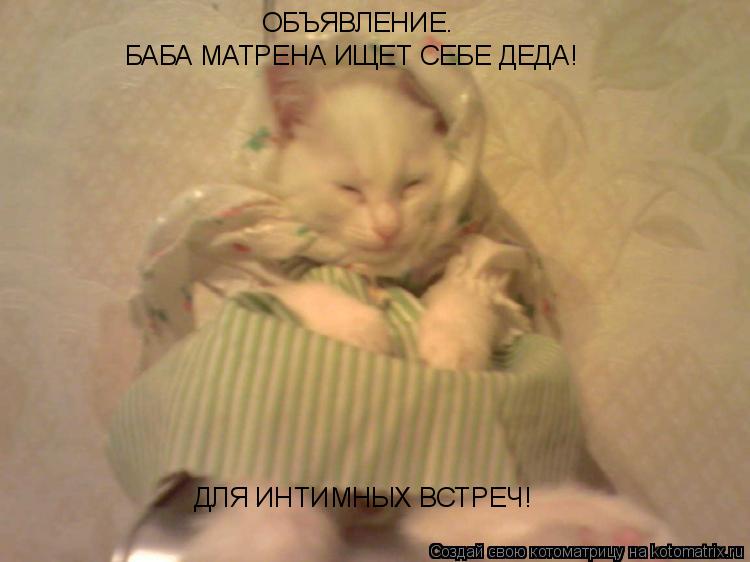 ОБЪЯВЛЕНИЕ. БАБА МАТРЕНА ИЩЕТ СЕБЕ ДЕДА! ДЛЯ ИНТИМНЫХ ВСТРЕЧ!... Котоматрица: ОБЪЯВЛЕНИЕ. БАБА МАТРЕНА ИЩЕТ СЕБЕ ДЕДА! ДЛЯ ИНТИМНЫХ ВСТРЕЧ!