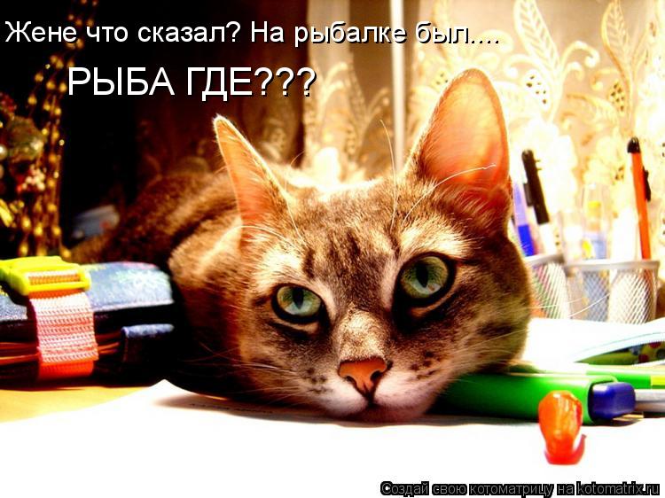 Жене что сказал? На рыбалке был.... РЫБА ГДЕ???... Котоматрица: Жене что сказал? На рыбалке был.... РЫБА ГДЕ???