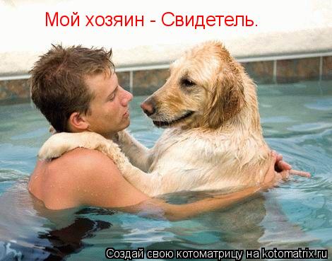 Мой хозяин - Свидетель.... Котоматрица: Мой хозяин - Свидетель.