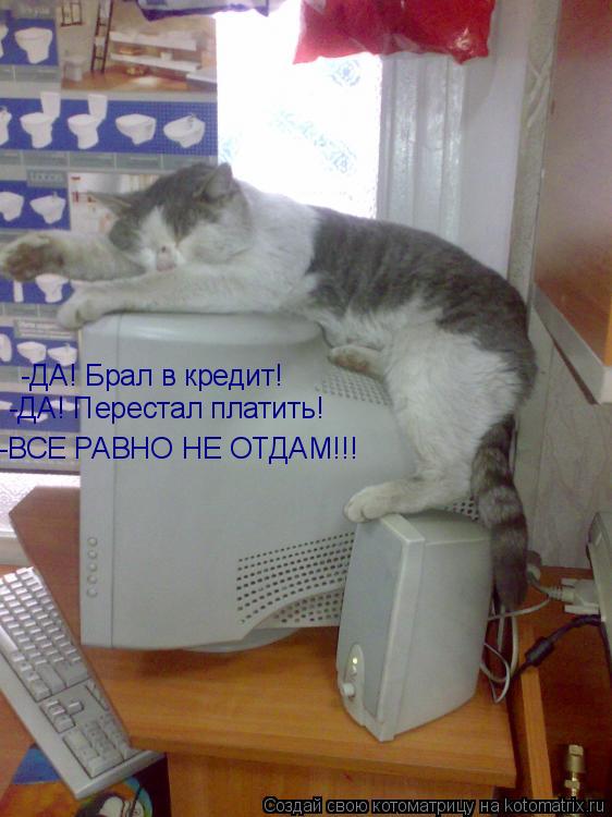 -ДА! Брал в кредит! -ДА! Перестал платить! -ВСЕ РАВНО НЕ ОТДАМ!!!... Котоматрица: -ДА! Брал в кредит! -ДА! Перестал платить! -ВСЕ РАВНО НЕ ОТДАМ!!!