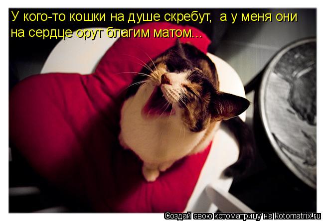 Кошки на душе скребут