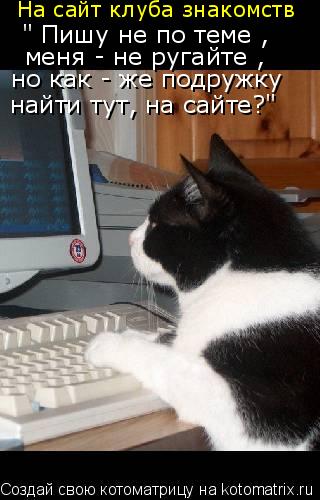 На сайт клуба знакомств " Пишу не по теме , меня - не ругайте , но как - же подружку найти тут, на са... Котоматрица: На сайт клуба знакомств " Пишу не по теме , меня - не ругайте , но как - же подружку найти тут, на сайте?"