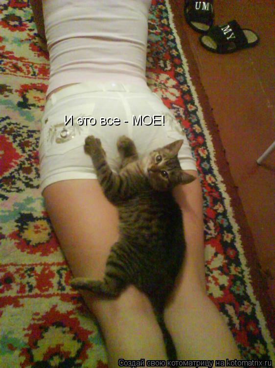 И это все - МОЕ!... Котоматрица: И это все - МОЕ!