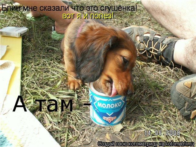 Блин мне сказали что это сгушёнка! Блин мне сказали что это сгушёнка! вот я и полез! А там -... Котоматрица: Блин мне сказали что это сгушёнка! Блин мне сказали что это сгушёнка! вот я и полез! А там -