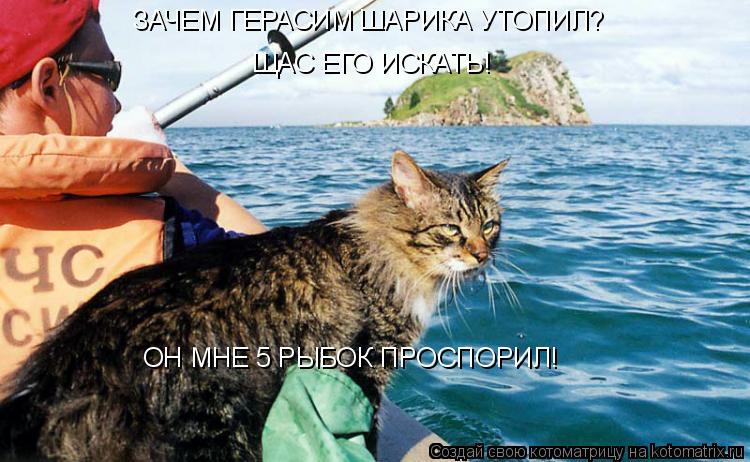 ЗАЧЕМ ГЕРАСИМ ШАРИКА УТОПИЛ? ЩАС ЕГО ИСКАТЬ! ОН МНЕ 5 РЫБОК ПРОСПОРИЛ!... Котоматрица: ЗАЧЕМ ГЕРАСИМ ШАРИКА УТОПИЛ? ЩАС ЕГО ИСКАТЬ! ОН МНЕ 5 РЫБОК ПРОСПОРИЛ!