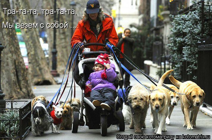 Тра-та-та, тра-та-та, Мы везем с собой ....... Котоматрица: Тра-та-та, тра-та-та, Мы везем с собой ....