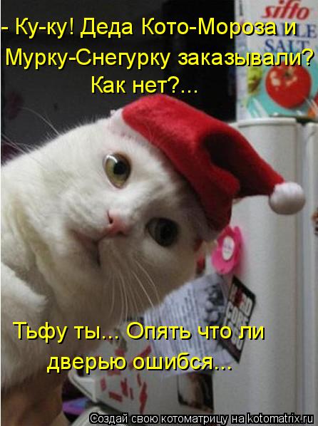 - Ку-ку! Деда Кото-Мороза и Мурку-Снегурку заказывали? Как нет?... Тьфу ты... Опять что ли дверью оши... Котоматрица: - Ку-ку! Деда Кото-Мороза и Мурку-Снегурку заказывали? Как нет?... Тьфу ты... Опять что ли дверью ошибся...