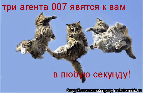 три агента 007 явятся к вам в любую секунду!... Котоматрица: три агента 007 явятся к вам в любую секунду!