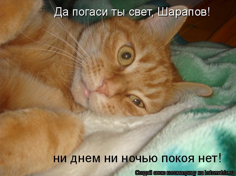 Котоматрица: Да погаси ты свет, Шарапов! ни днем ни ночью покоя нет!