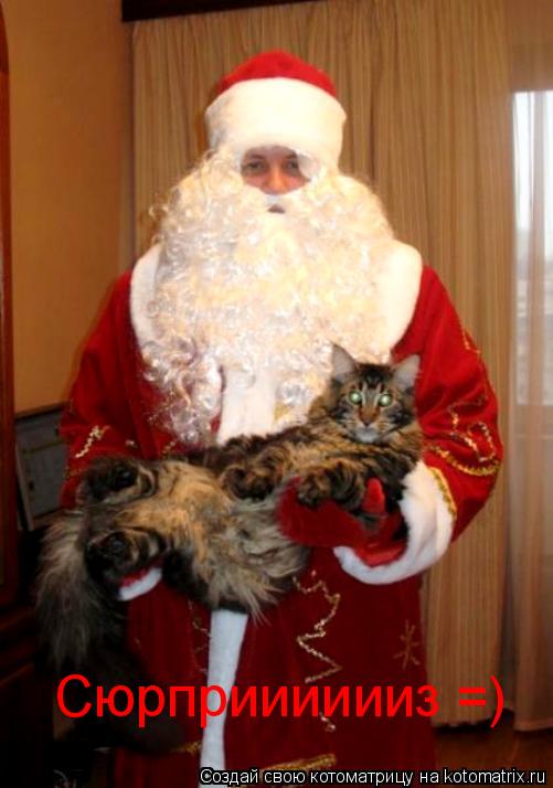 Сюрприиииииз =)... Котоматрица: Сюрприиииииз =)