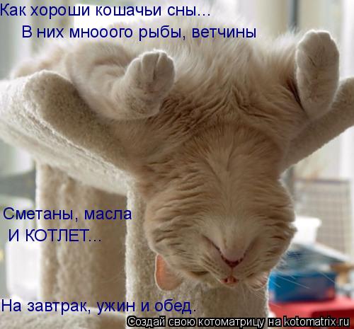 Как хороши кошачьи сны... В них мнооого рыбы, ветчины И КОТЛЕТ... Сметаны, масла На завтрак, ужин и ... Котоматрица: Как хороши кошачьи сны... В них мнооого рыбы, ветчины И КОТЛЕТ... Сметаны, масла На завтрак, ужин и обед.