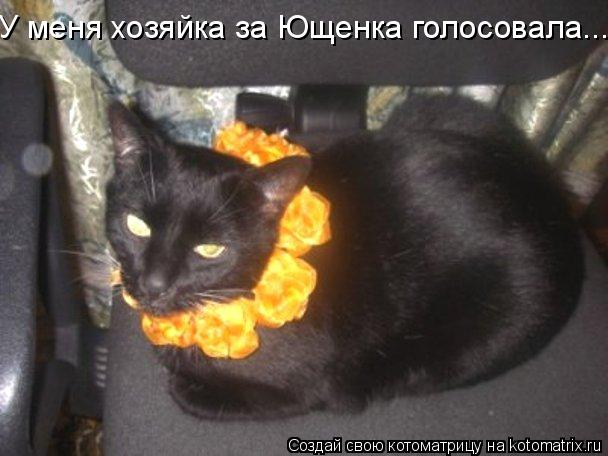 У меня хозяйка за Ющенка голосовала...... Котоматрица: У меня хозяйка за Ющенка голосовала...