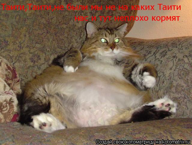 Котоматрица: Таити,Таити,не были мы не на каких Таити нас и тут неплохо кормят