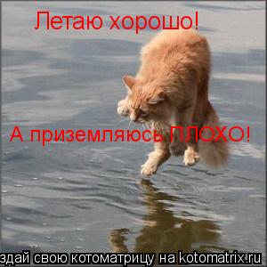 Котоматрица: Летаю хорошо! А приземляюсь ПЛОХО!