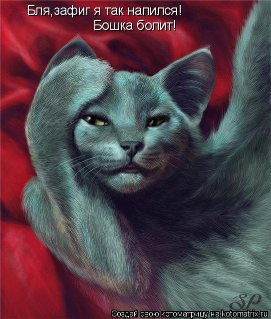 Бля,зафиг я так напился! Бошка болит!... Котоматрица: Бля,зафиг я так напился! Бошка болит!