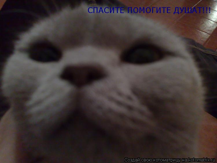 СПАСИТЕ ПОМОГИТЕ ДУШАТ!!!... Котоматрица: СПАСИТЕ ПОМОГИТЕ ДУШАТ!!!