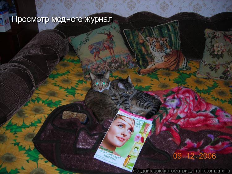 Просмотр модного журнал... Котоматрица: Просмотр модного журнал