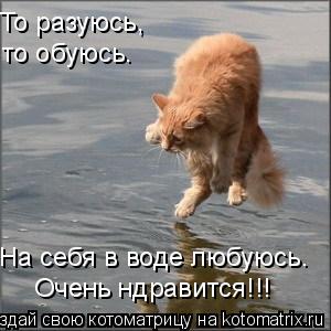 То разуюсь, то обуюсь. На себя в воде любуюсь. Очень ндравится!!!... Котоматрица: То разуюсь, то обуюсь. На себя в воде любуюсь. Очень ндравится!!!
