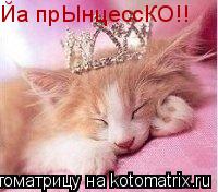 ЙапрЫнцессКО!! Йа прЫнцессКО!!... Котоматрица: ЙапрЫнцессКО!! Йа прЫнцессКО!!
